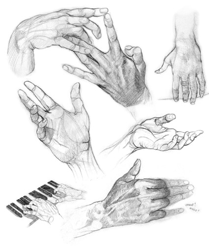 Hand Studies