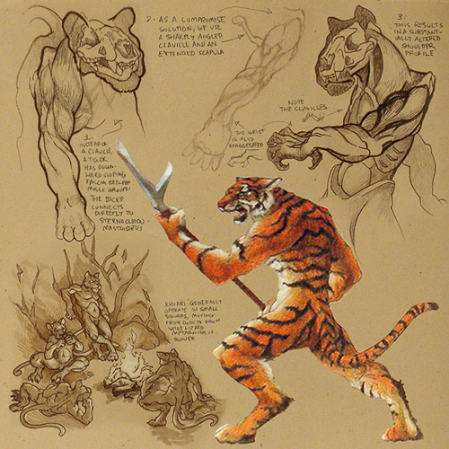 Khuari Anatomy