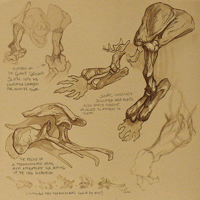 Lizard Anatomy: Bones